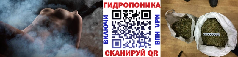 Бошки марихуана план  нарко площадка официальный сайт  Владимир 